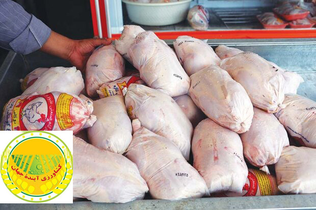 اتحادیه مرغ گوشتی در سنگر قیمت گذاری