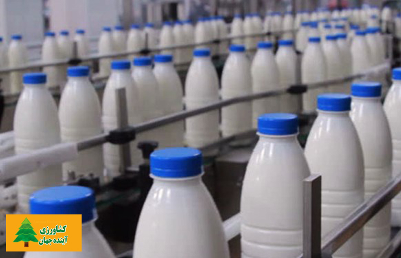 اخبار کشاورزی:  مرکز آمار گزارش داد:  سرانه مصرف شیر چقدر است؟