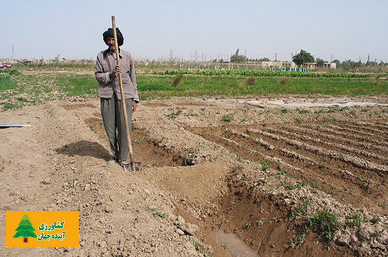 اخبار کشاورزی:  ۹۵درصد بخش کشاورزی خوزستان به آب‌های سطحی وابسته است