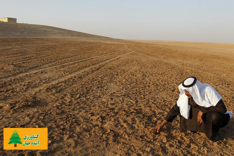 اخبار کشاورزی:  بحران خشکسالی از سوریه و عراق تا هند