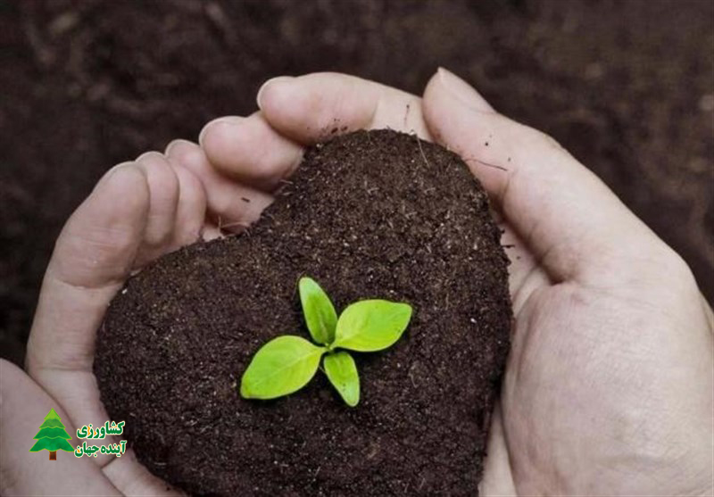 اخبار کشاورزی:  ۱۴ آذر روز جهانی خاک/ خسارت ۶۰ هزار میلیارد تومانی تخریب خاک به اقتصاد ایران
