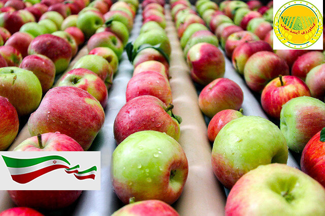 اخبار-کشاورزی-به-زبان-فرانسه-actualités-agricoles-iraniennes-exportations-de-pommes-et-de-produits-dérivés-d-une-valeur-de-300-millions-de-dollars