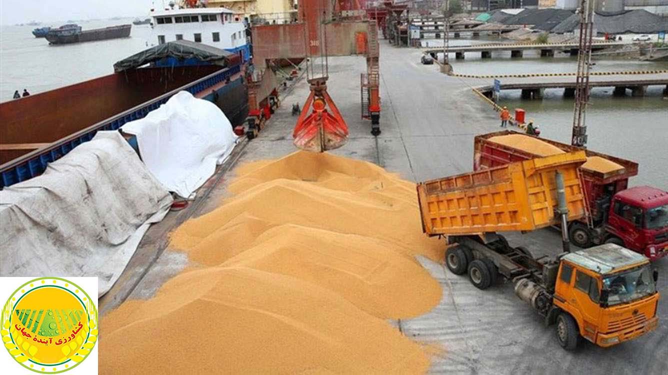 ذخیره‌سازی-بیش-از-۴-۴-میلیون-تن-نهاده-دامی-و-کالای-اساسی-در-بندر-امام-خمینی-ره-تسریع-در-ترخیص-و-توزیع-اقلام-به-استان‌ها