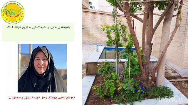 کاشت-شبه‌گلدانی؛-تجربه‌ای-موفق-در-مدیریت-آب-و-خاک-مناطق-کویری