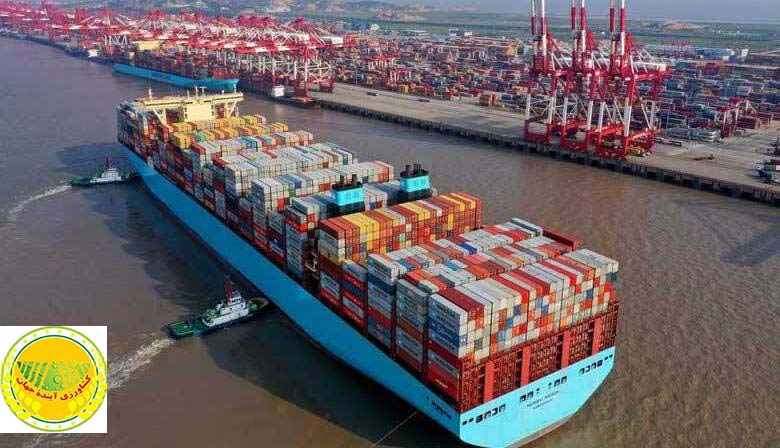 تأمین-ارز-20-کشتی-مملو-از-نهاده-و-کالای-اساسی-پهلوگرفته-در-بندر،-در-هاله‌ای-از-ابهام