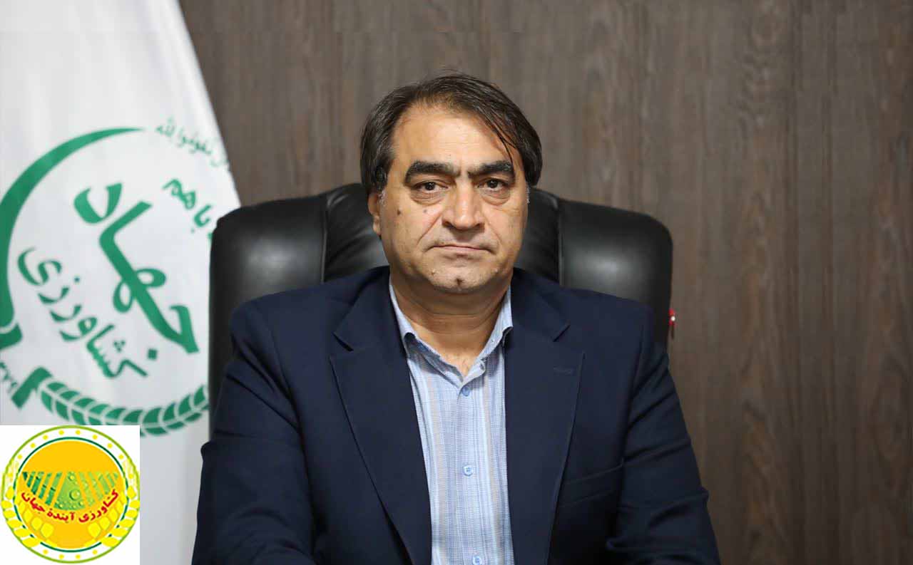 حذف-ارز-ترجیحی-و-تأثیر-آن-بر-بازار-دام-و-طیور-افزایش-کشت-داخلی-و-کاهش-سوءاستفاده-از-نهاده‌ها