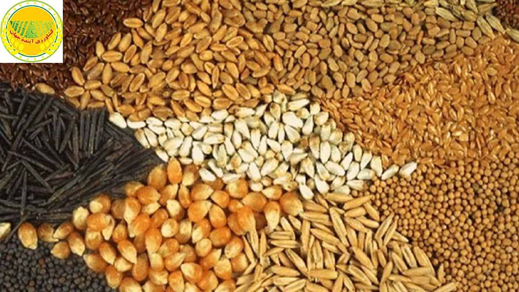 واگذاری-واردات-نهاده-به-مسیر-قراردادی-دولت؛-عرضه-یک‌میلیون-تن-نهاده-دامی-در-راه-است