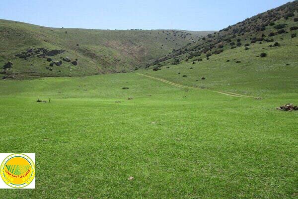 l’onu-proclame-2026-année-internationale-des-parcours-et-des-éleveurs