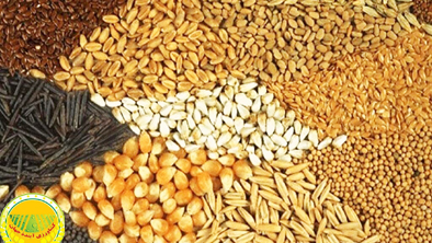 ۵۶-شرکت-وارد-کننده-با-شرکت-پشتیبانی-امور-دام-قرارداد-بستند