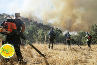 ارسال-۴۴-میلیارد-تومان-تجهیزات-حفاظتی-و-اطفای-حریق-به-۱۴-استان