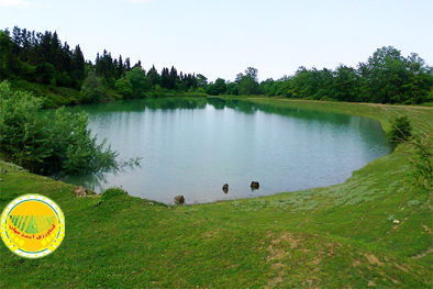 فرماندار-هزاران-هکتار-از-اراضی-کشاورزی-بندرانزلی-در-وضعیت-قرمز-قرار-دارد