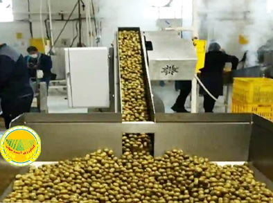 فرماندار-رودسر-هفت-هکتار-زمین-این-شهرستان-به-احداث-صنایع-تبدیلی-اختصاص-یافت