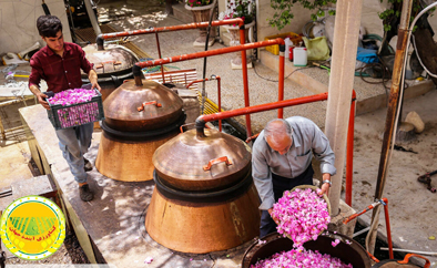 گلاب-سیاه-توسط-شرکت‌های-دانش-بنیان-ایرانی-تولید-شد