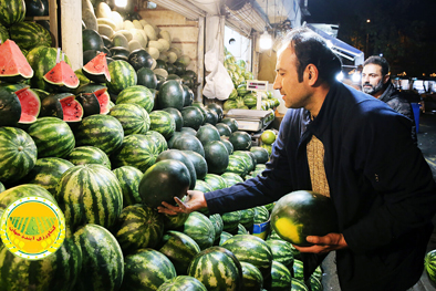 ۲۵۲-هزارتن-هندوانه-پاییزه-برای-تنظیم-بازار-شب-یلدا-به-بازار-عرضه-می‌شود