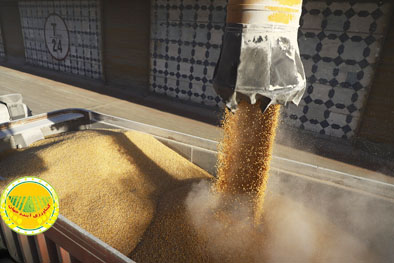 حفظ-انبار-و-سیلوی-غلات-مأموریتی-ملی-در-راستای-صیانت-از-سفره-مردم-است