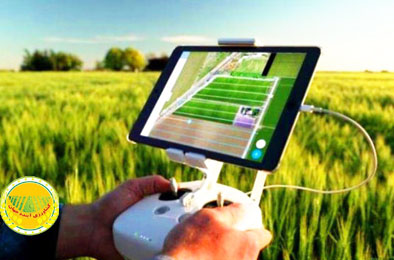 مرکز-هوشمندسازی،-نوآوری-و-امنیت-در-سازمان-شیلات-ایران-ایجاد-شد