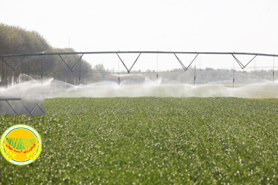 افزایش-بهره‌وری-آب-به-۴۱-۶-درصد-با-هوشمندسازی-آبیاری