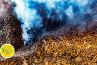 ۱۰-هکتار-جنگل-ابر-شاهرود-در-چنگال-آتش-استمداد-۵۰-نیرو-برای-مهار-حریق