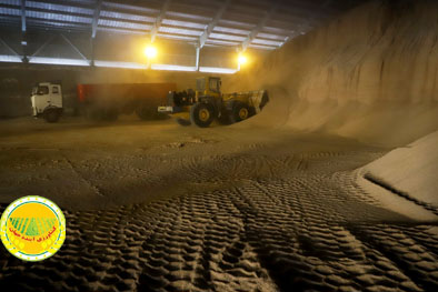 پلیس-از-کشف-۴۲-هزار-تن-نهاده-دامی-قاچاق-و-احتکاری-خبر-داد