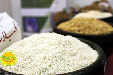 ریختن-برنج-در-دریا-کذب-است-وجود-۱۰۰-هزار-تن-برنج-در-بنادر