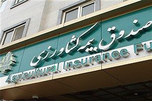 افزایش-۴۰۰۰-درصدی-سرمایه-و-رکوردی-بی‌سابقه-در-دو-دهه-اخیر