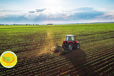 اجرای-مکانیزه-و-رصد-لحظه‌ای-الگوی-کشت-در-سراسر-کشور