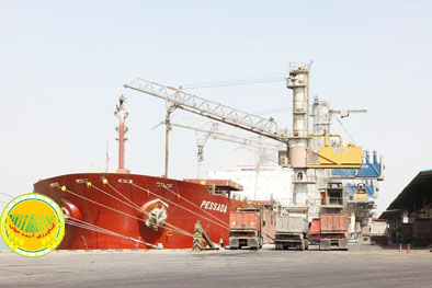 ۱۲-۸-میلیون-تن-کالای-اساسی-تا-پایان-آذر-ماه-از-بندر-امام-وارد-شد-2