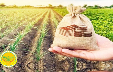 سرمایه-صندوق-بیمه-کشاورزی-۴۰-برابر-شد