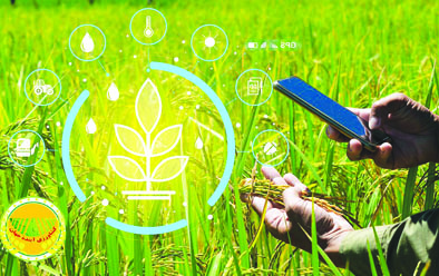 استفاده-از-هوش-مصنوعی-در-تحقیقات-گیاه‌پزشکی-ضروری-است