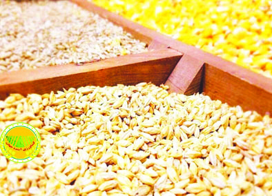 کمبود-نهاده-دامی-در-سامانه-بازارگاه-کماکان-ادامه-دارد