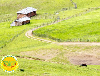 تبریک-به-جامعه-مرتعداران-و-تأکید-بر-اهمیت-مراتع