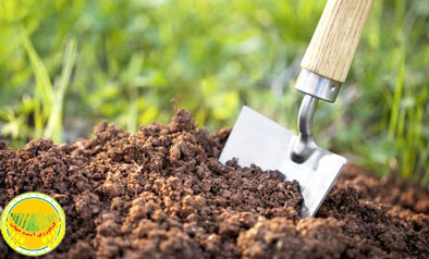 کم‌مصرفی-سالانه-۱-میلیون-تن-کود-به-افت-عناصر-غذایی-خاک-منجر-شد