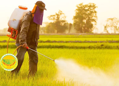 ۸-آفت‌کش-گیاهی-در-مسیر-تحقیق-و-توسعه-مبارزه-با-آفت-«پسیل»-در۳-هزار-هکتار-باغات-پسته