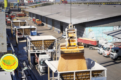 ذخایر-فعلی-نهاده‌های-دامی-بالاتر-از-نیاز-ماهانه-کشور-است