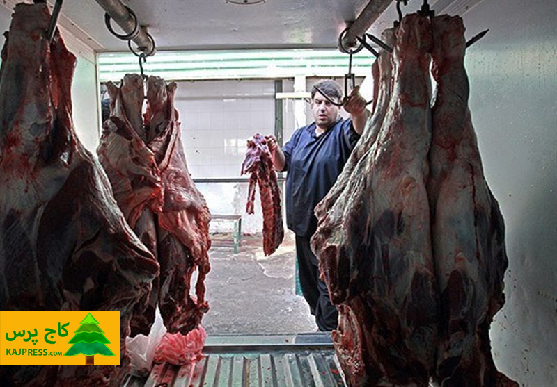 اخبار کشاورزی: پیش بینی تنظیم بازار از کمبود گوشت قرمز در نیمه دوم سال