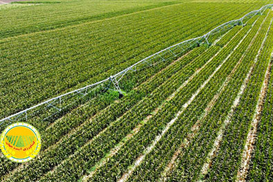 کاهش-۲۶-میلیارد-مترمکعبی-آب-کشاورزی-کشاورزان-قربانی-سیاست‌های-غلط-گذشته