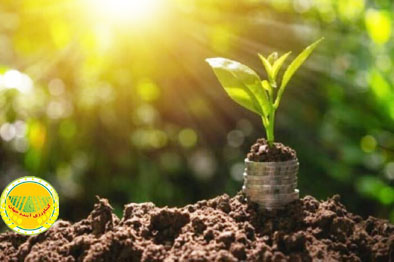 ماجرای-پرداخت-حق-بیمه-گندمکاران-از-محل-خرید-تضمینی-چه-بود؟