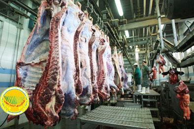 تولید-۵۰۰-هزارتن-گوشت-قرمز-در۶-ماهه-امسال-دامداران-حمایت-می‌شوند