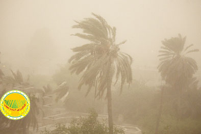 پیشنهادهای-ایران-در-سند-همکاری‌های-منطقه‌ای-گرد-و-غبار-لحاظ-شد