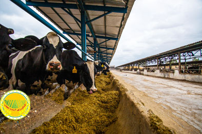 نبرد-بازارگاه-با-ربات‌ها