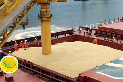 تامین-ارز-نهاده‌ها-و-کالاهای-اساسی-به-زودی-حل-می‌شود