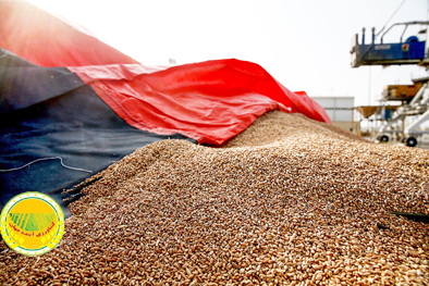 مسئولیت-نظارت-و-توزیع-نهاده‌های-دامی-به-شرکت-پشتیبانی-امور-دام-واگذار-شد