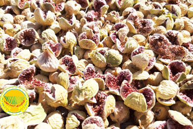 استبهان-ایران-۳-۵-درصد-انجیرستان‌های-جهان-را-در-اختیار-دارد