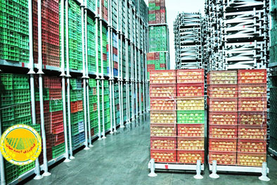 لزوم-صدور-گواهی‌های-بهداشت-گیاهی-مطابق-با-الزامات-قرنطینه‌ای-کشورهای-مقصد