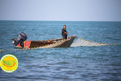 واگذاری-بنادر-ماهیگیری؛-گامی-موثر-در-چابک‌سازی-دولت-و-توسعه-مشارکت-مردمی