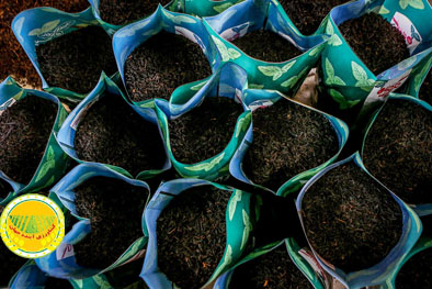 واردات-چای-مشمول-ترخیص-۱۰۰-درصدی-از-گمرکات-شد