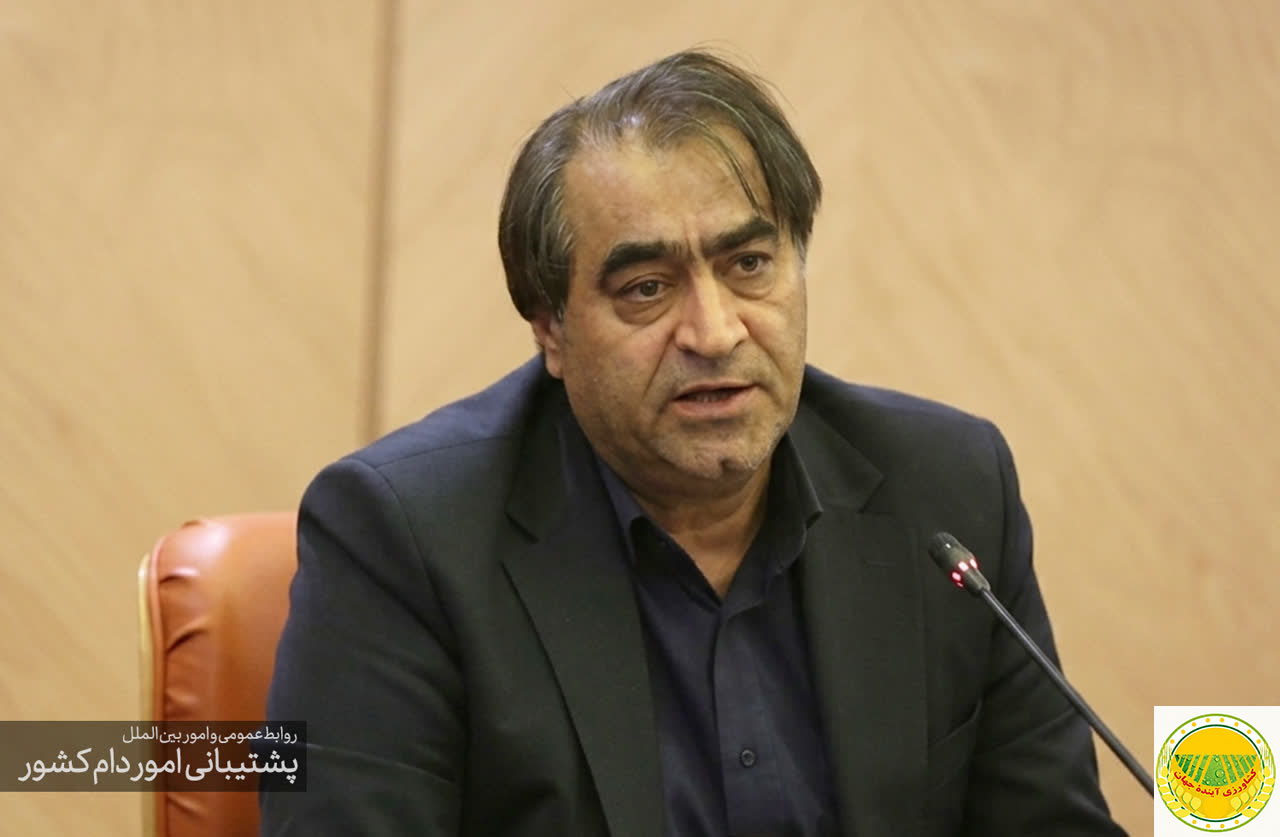 کاهش-۴-۷-درصدی-قیمت-گوشت-و-مرغ-در-تیرماه-ذخایر-راهبردی-در-وضعیت-مطلوب-قرار-دارد