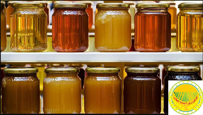 اخبار کشاورزی:  نهاد اروپایی: نیمی از عسل‌های وارداتی به اروپا تقلبی هستند؛ این محصولات از کدام کشورها بودند؟