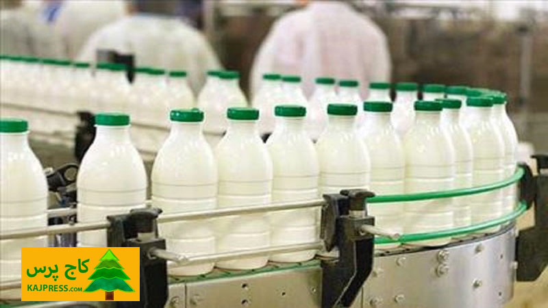اخبار کشاورزی: منتفی شدن افزایش قیمت شیر