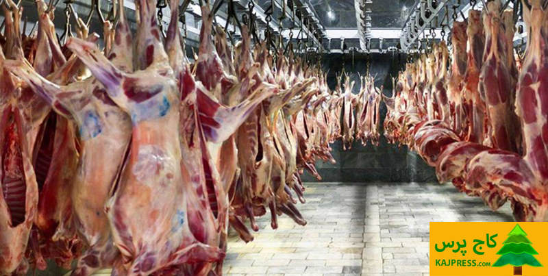 اخبار کشاورزی: افزایش 49 درصدی عرضه گوشت قرمز